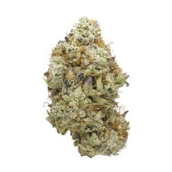 Zummy Bears (sativa)
