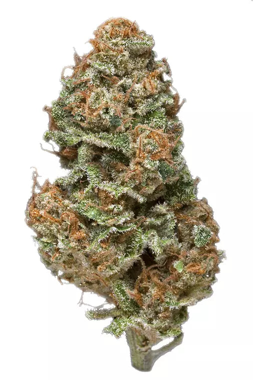 Mango Haze (Hybrid)