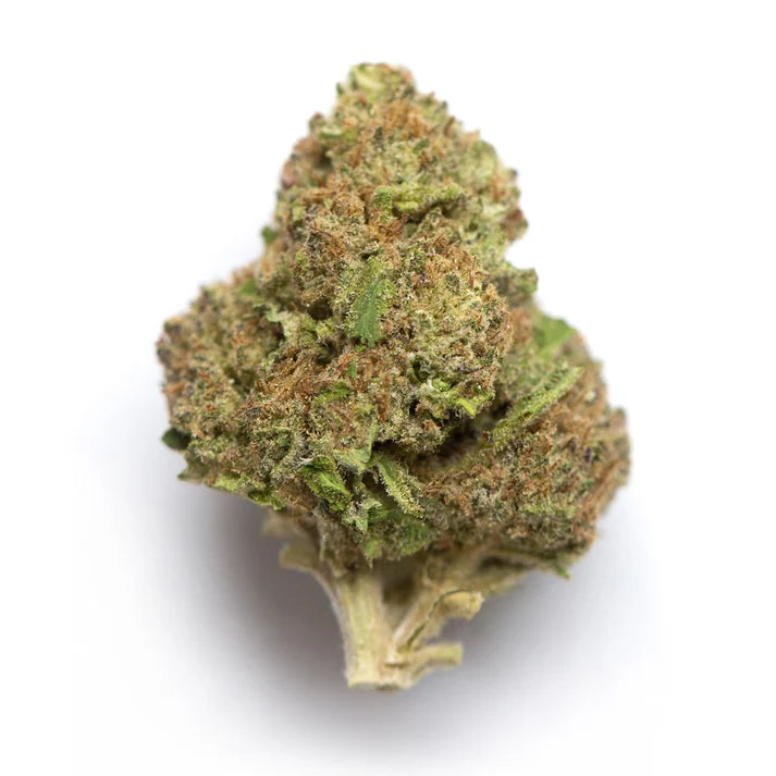 Gelato 41 (Indica)
