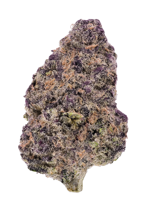 Purple Poison (indica)