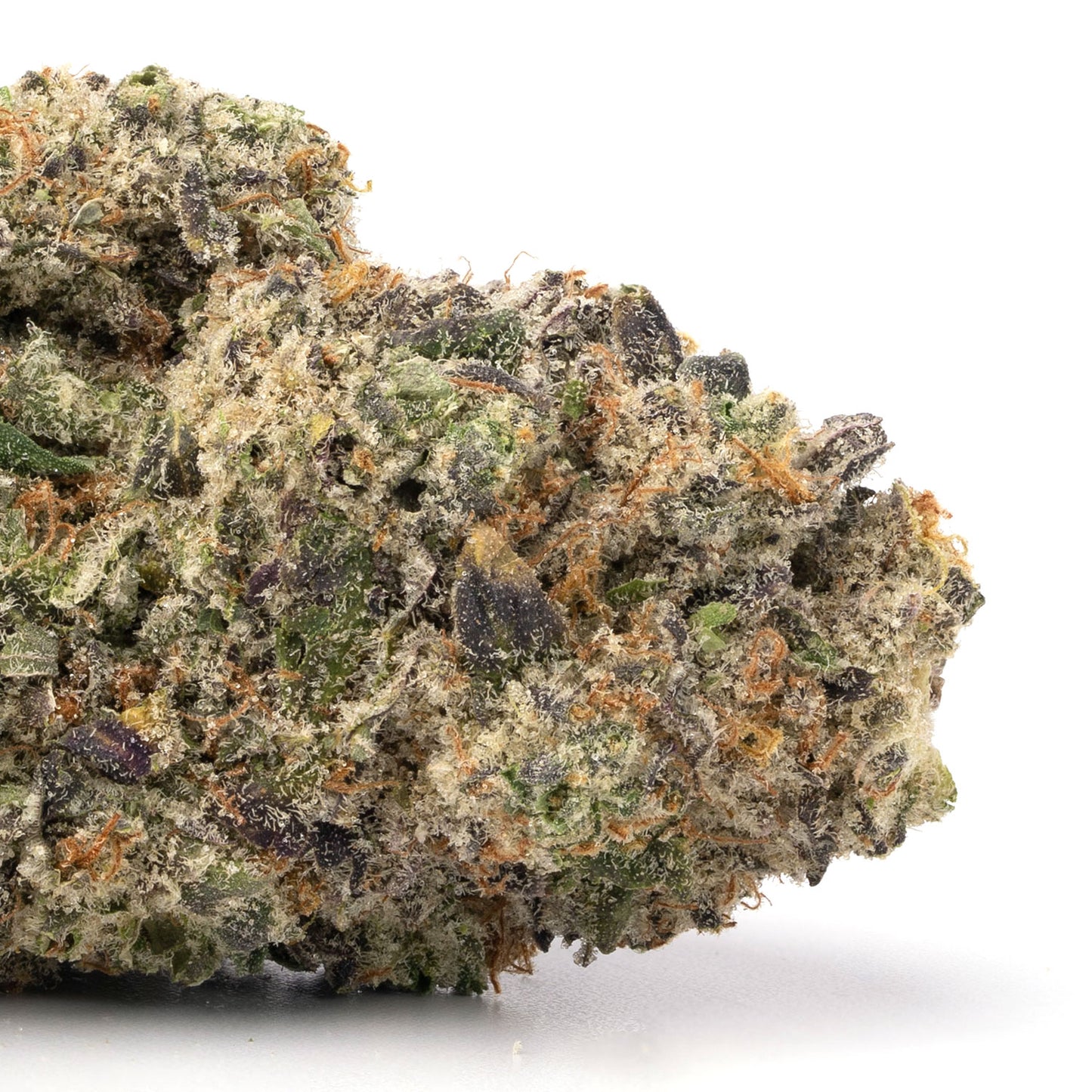 PURPLE TANGIE (sativa)