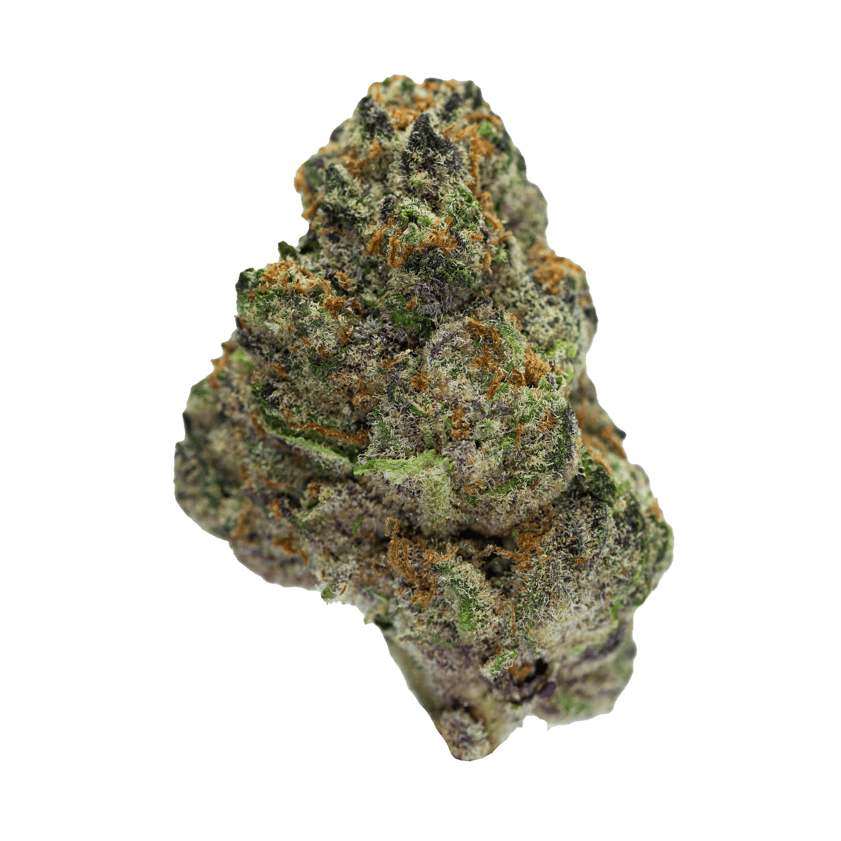 Rainbow ZKZ (Hybrid)