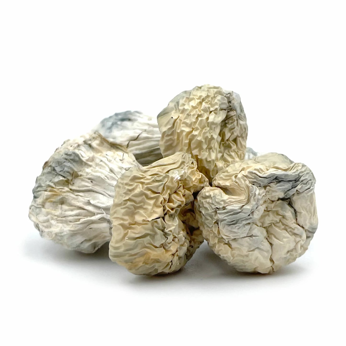 Albino