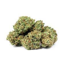 Apple Fritter (Hybrid)