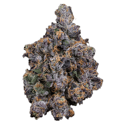 BISCOTTI (Indica)