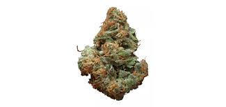 Blue Cheese (Sativa)