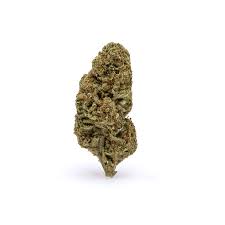 Blue Dream (Hybrid)