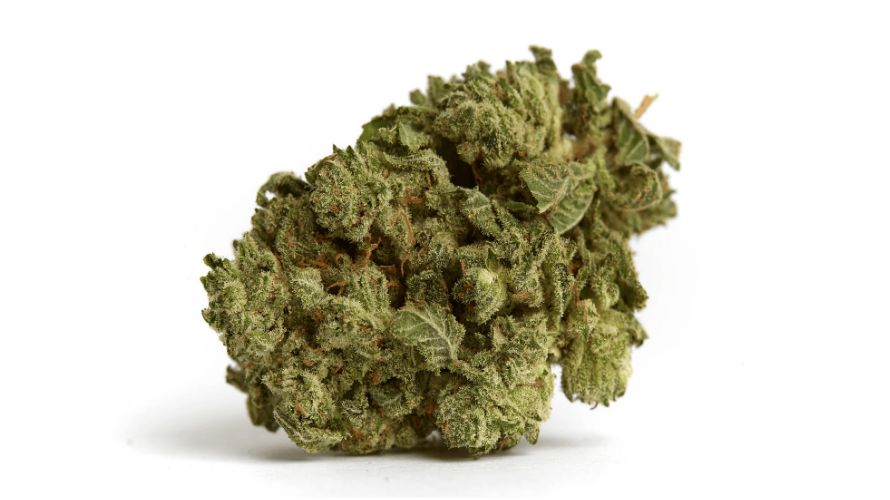 Blueberry Kush (indica)