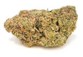 Garlic Cookies (hybrid)