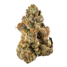 Gelato OG (Indica)