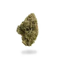 SKYWALKER OG (Hybrid)