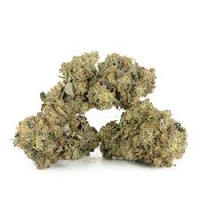 GG#4 Smalls (hybrid)