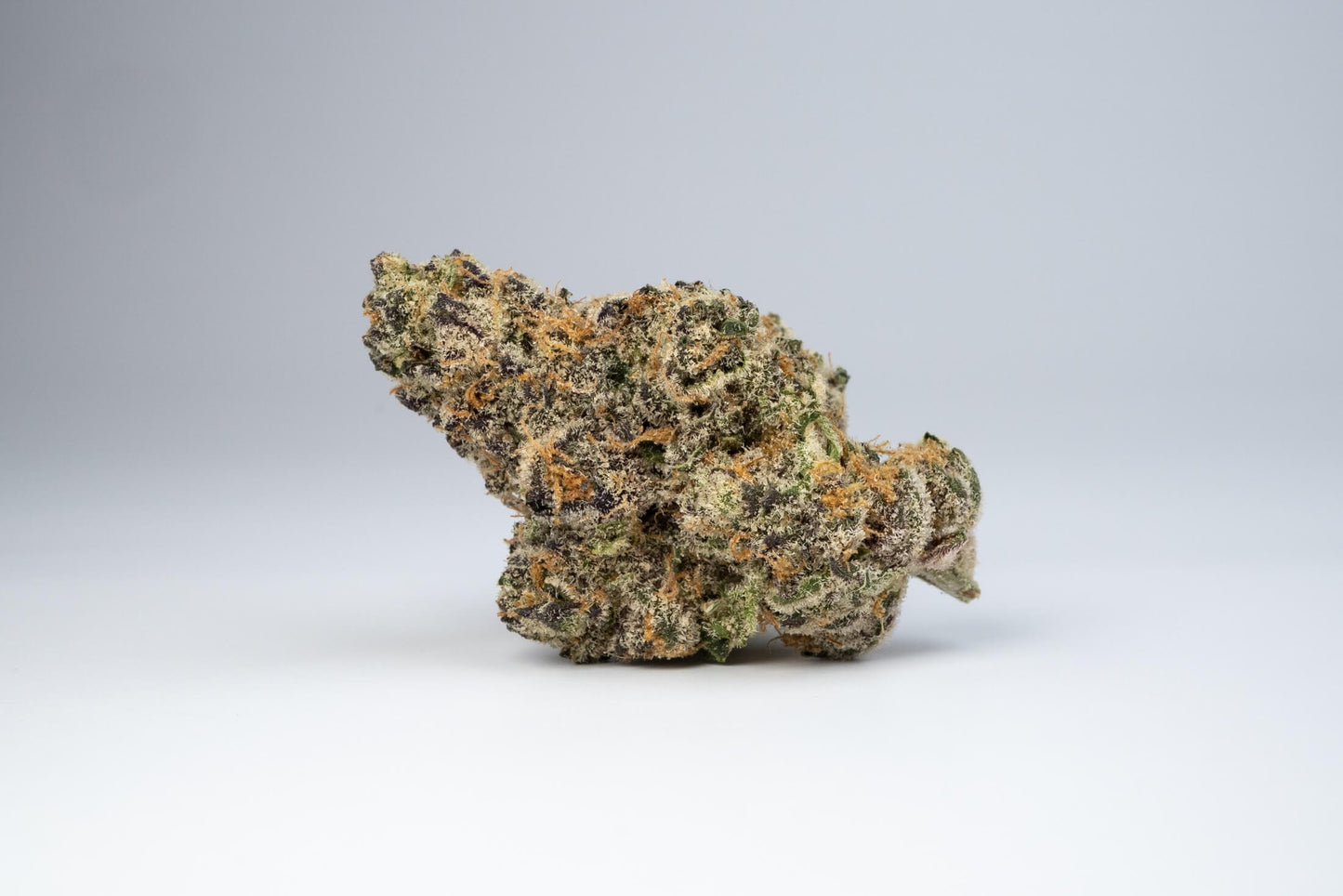 GP OG (Indica)