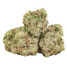 King Louis OG (Indica)