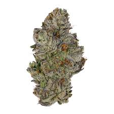 Koala Crack (Hybrid)