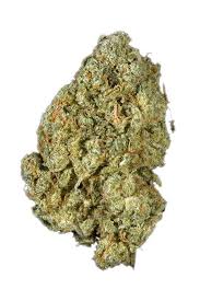 Master Yoda OG (Hybrid)