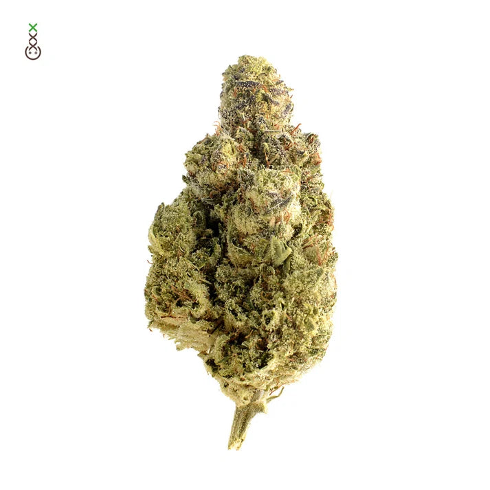 OG Kush (Hybrid)