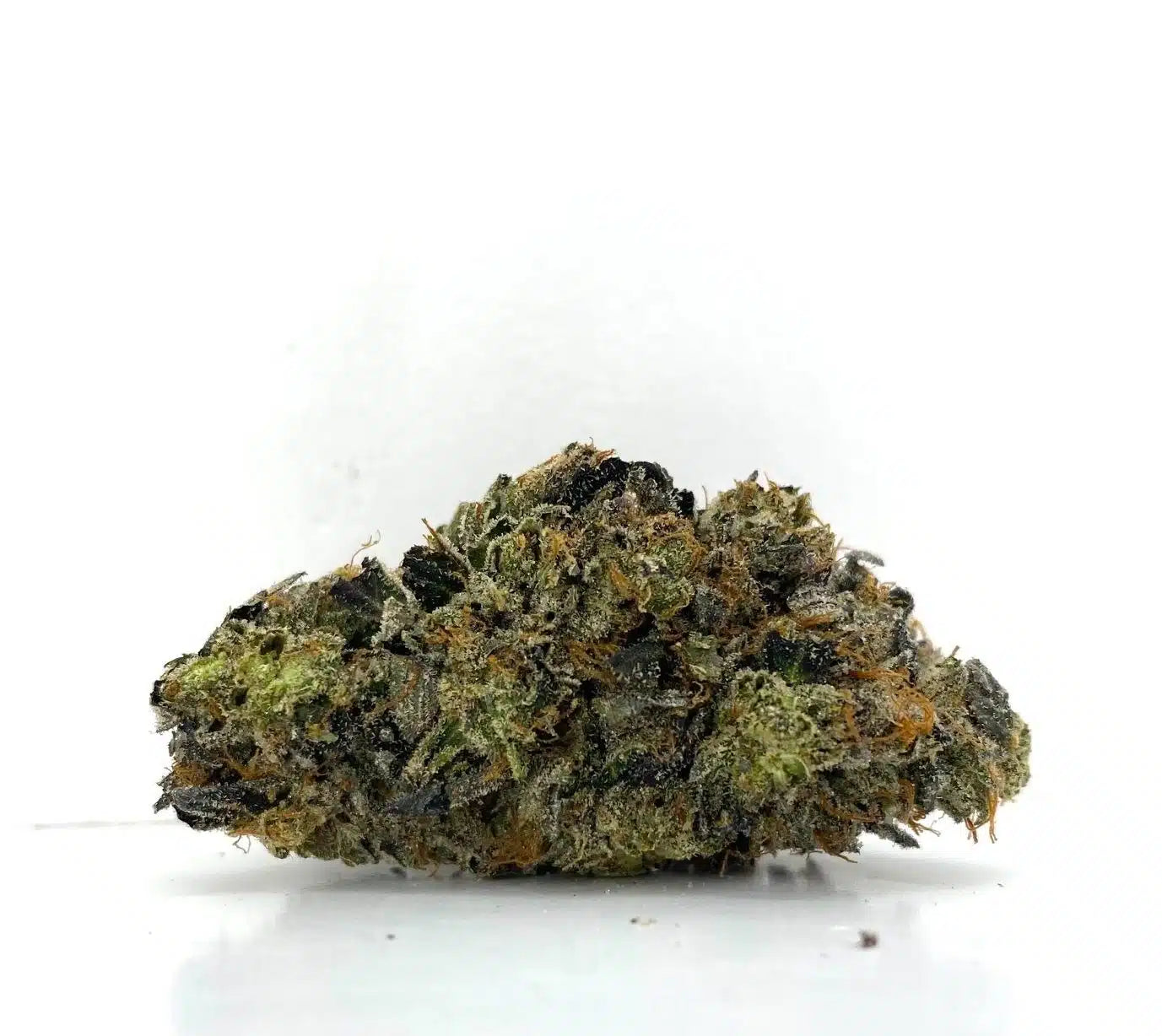 Plat Punch (Hybrid)