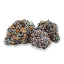 Super Nova (Hybrid)