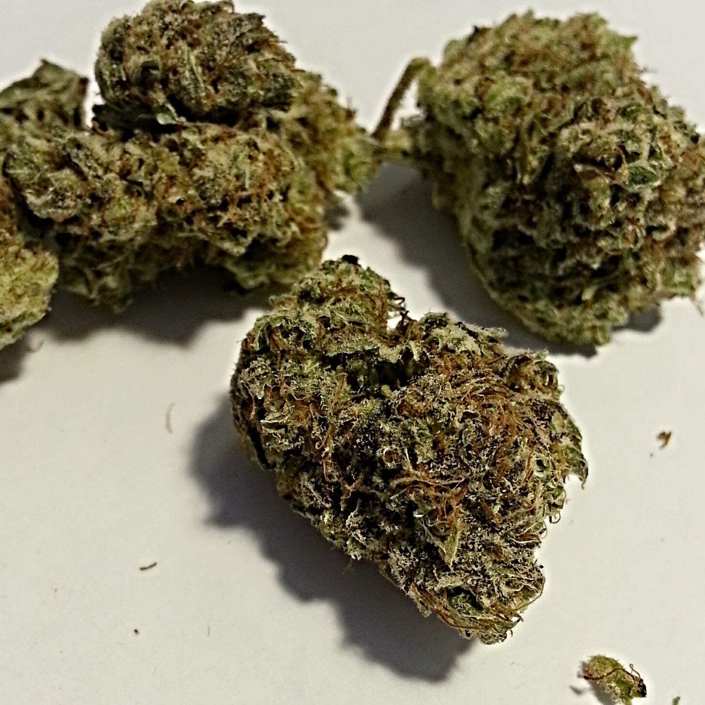 LEMON RUNTZ (hybrid)