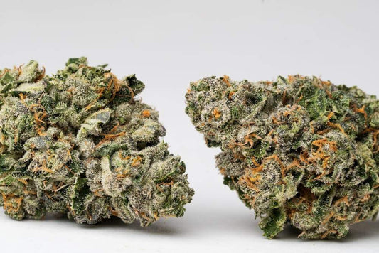Black Triangle OG (indica)