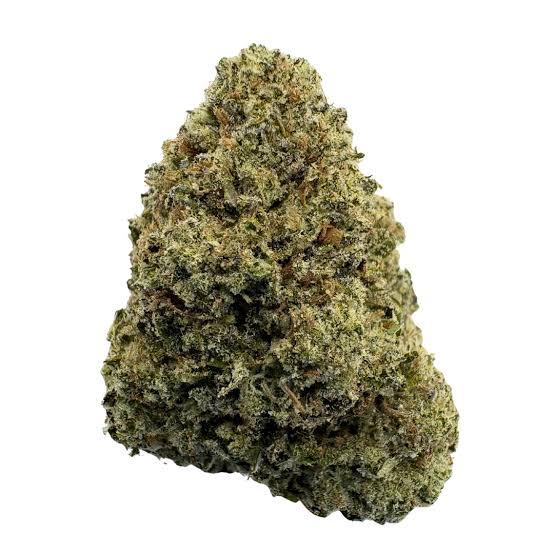 BLACK CHERRY GELATO (Hybrid)