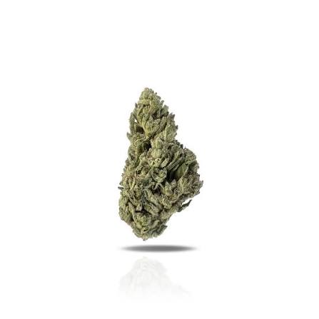 CANDY GELATO (Sativa)