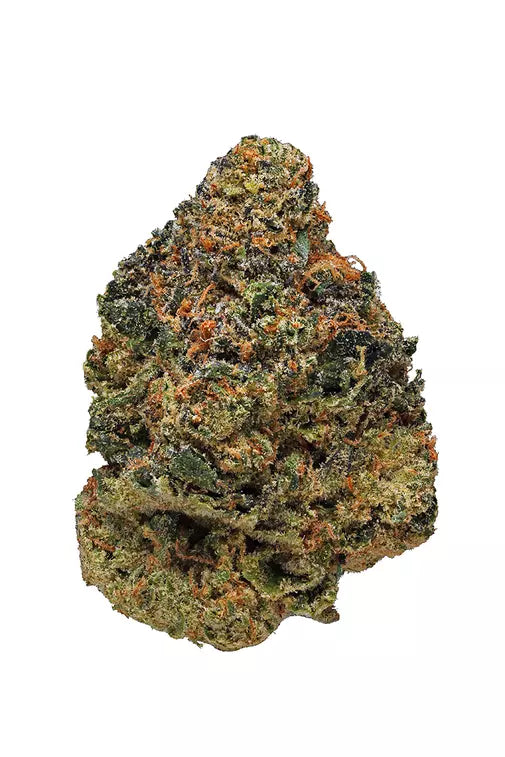Cherry Pie (hybird)