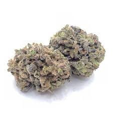 ELEMERS GLUE (hybrid)