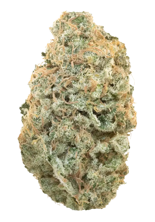 GARLIC SHERBERT (indica)