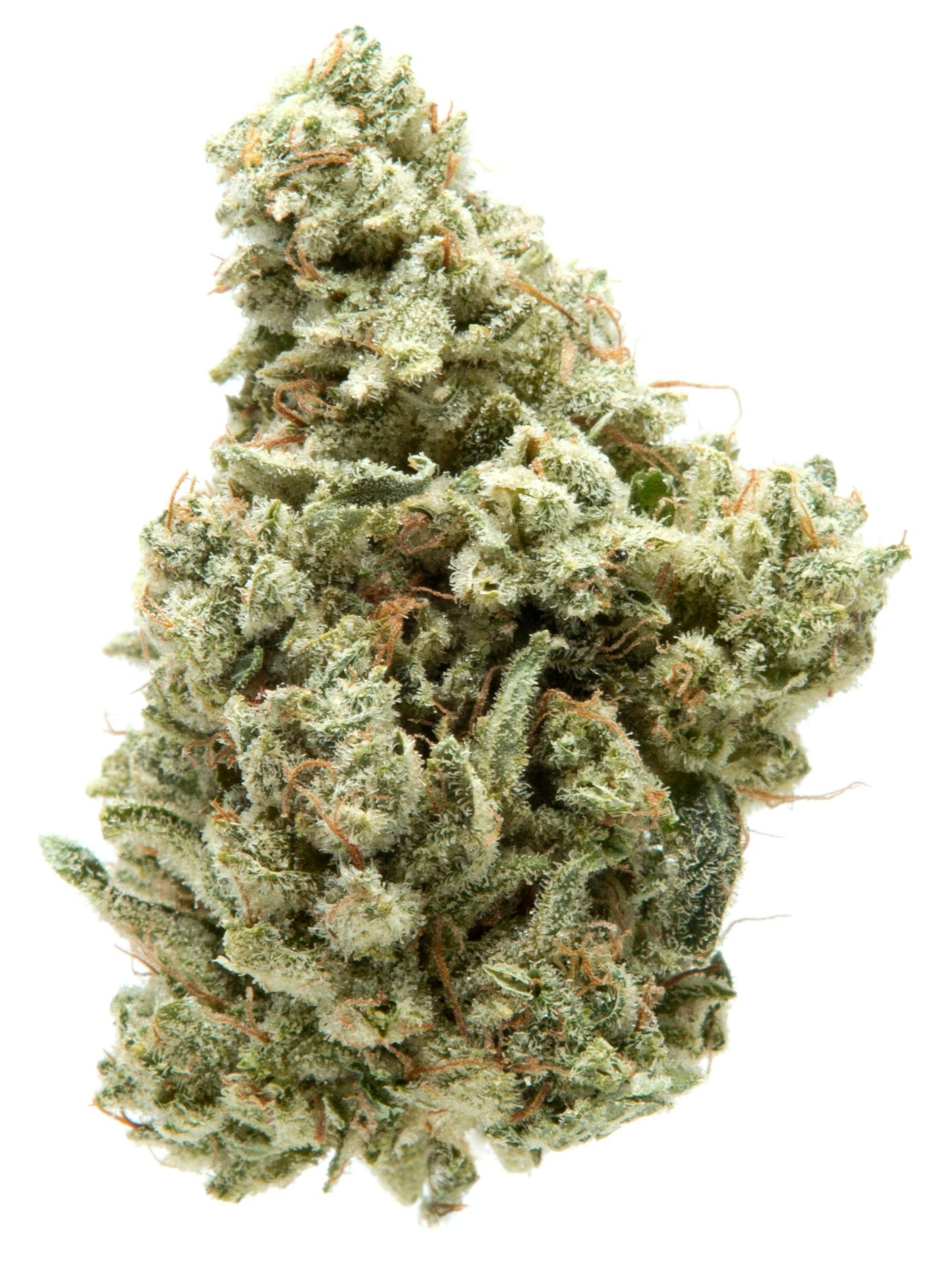 Monster Glue (Hybrid)