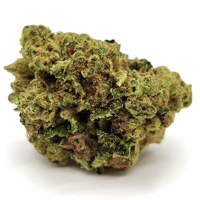 GMO COOKIES (indica)