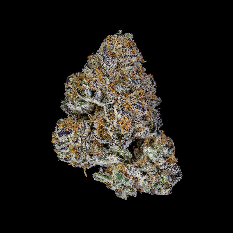 GMO MAN (indica)