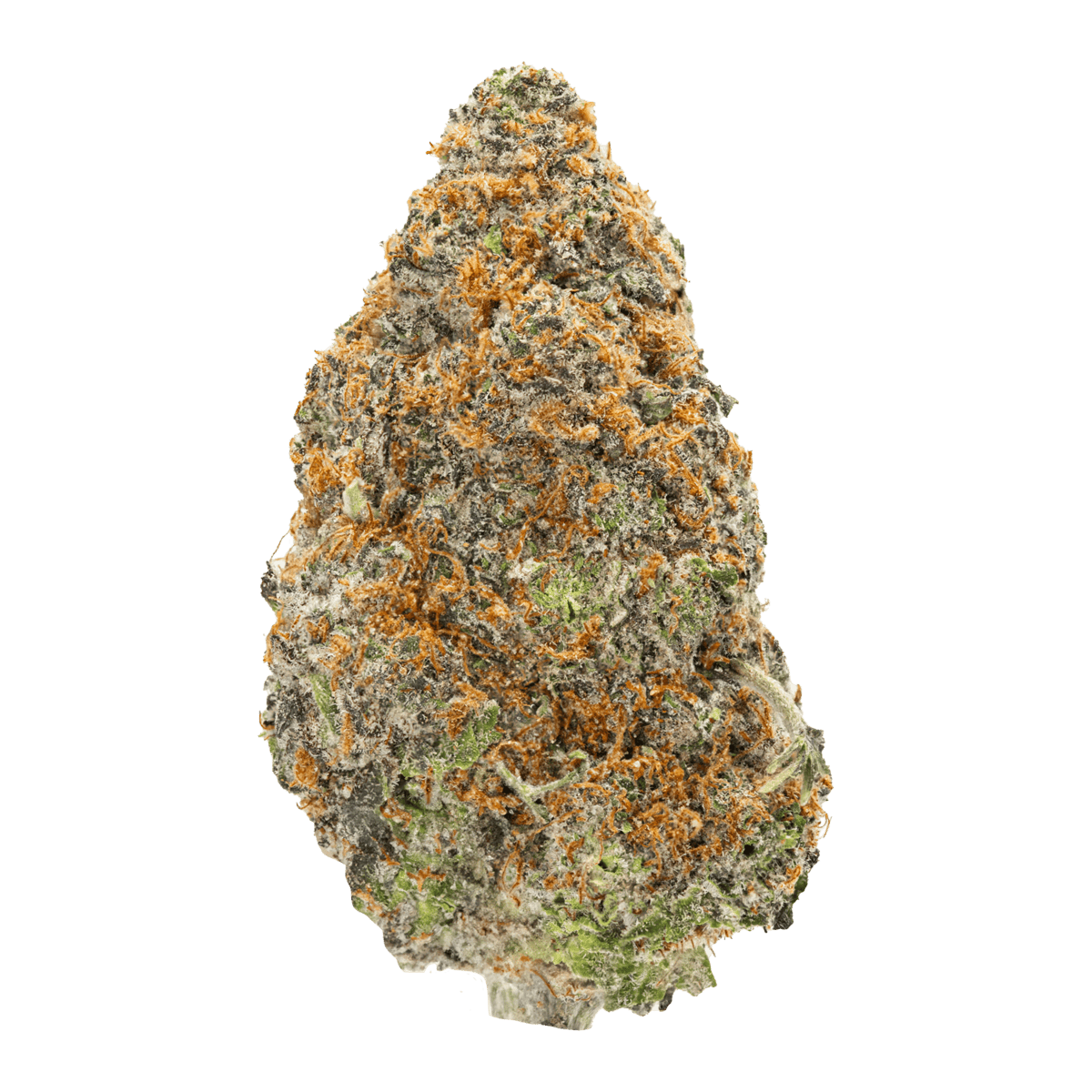 GRALIC CAKE (hybrid)