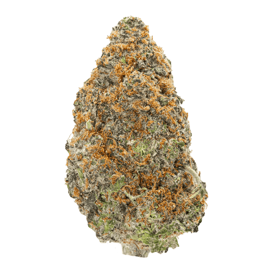 GRALIC CAKE (hybrid)