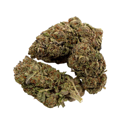 DONKEY BUTTER (hybrid)