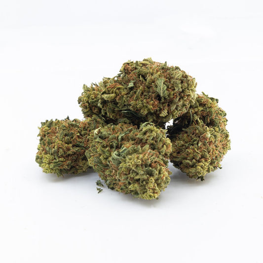 PINE QUEEN (indica)