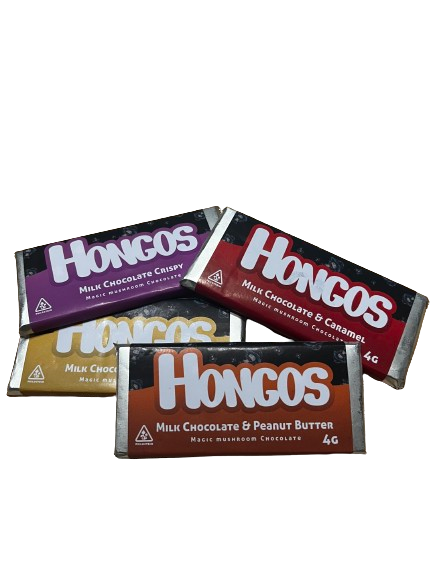 HONGOS BAR