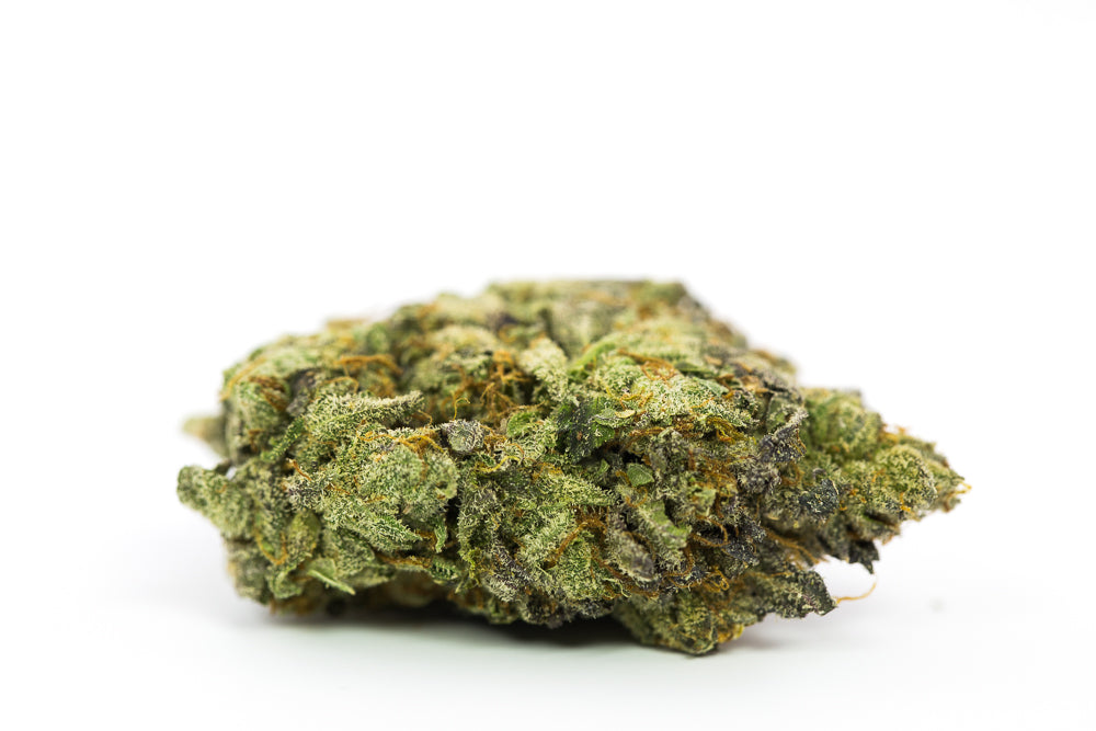 CRESCENDO (indica)