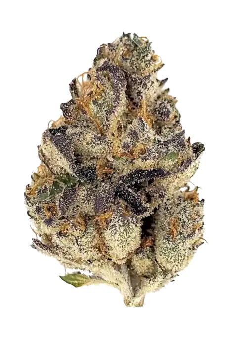 PINKN BUBBA (indica)
