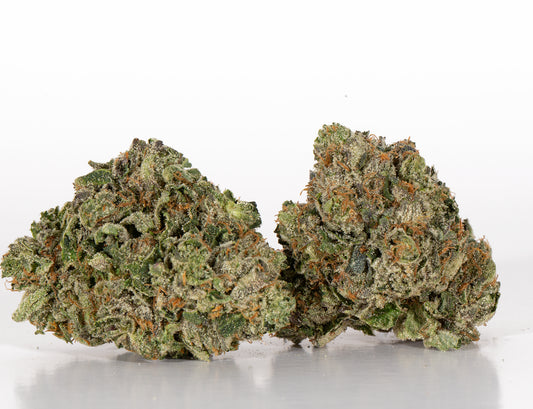 Purple Panther (Hybrid)