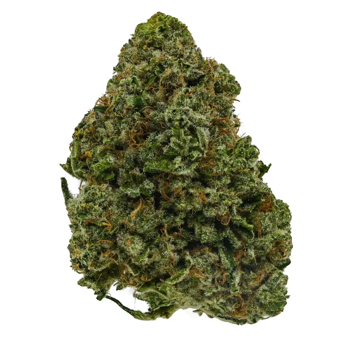 SOUR DIESEL (sativa)