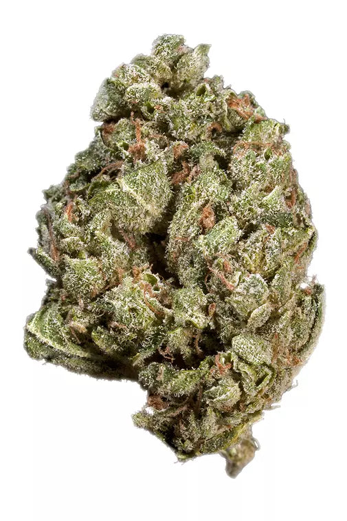 GHOST OG (indica)