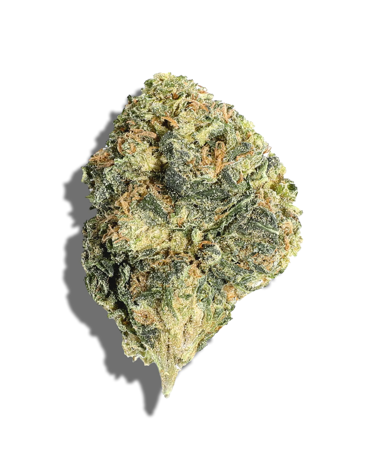 Hash Papi (indica)