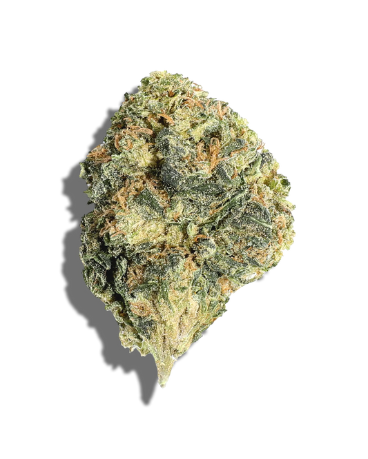 Hash Papi (indica)