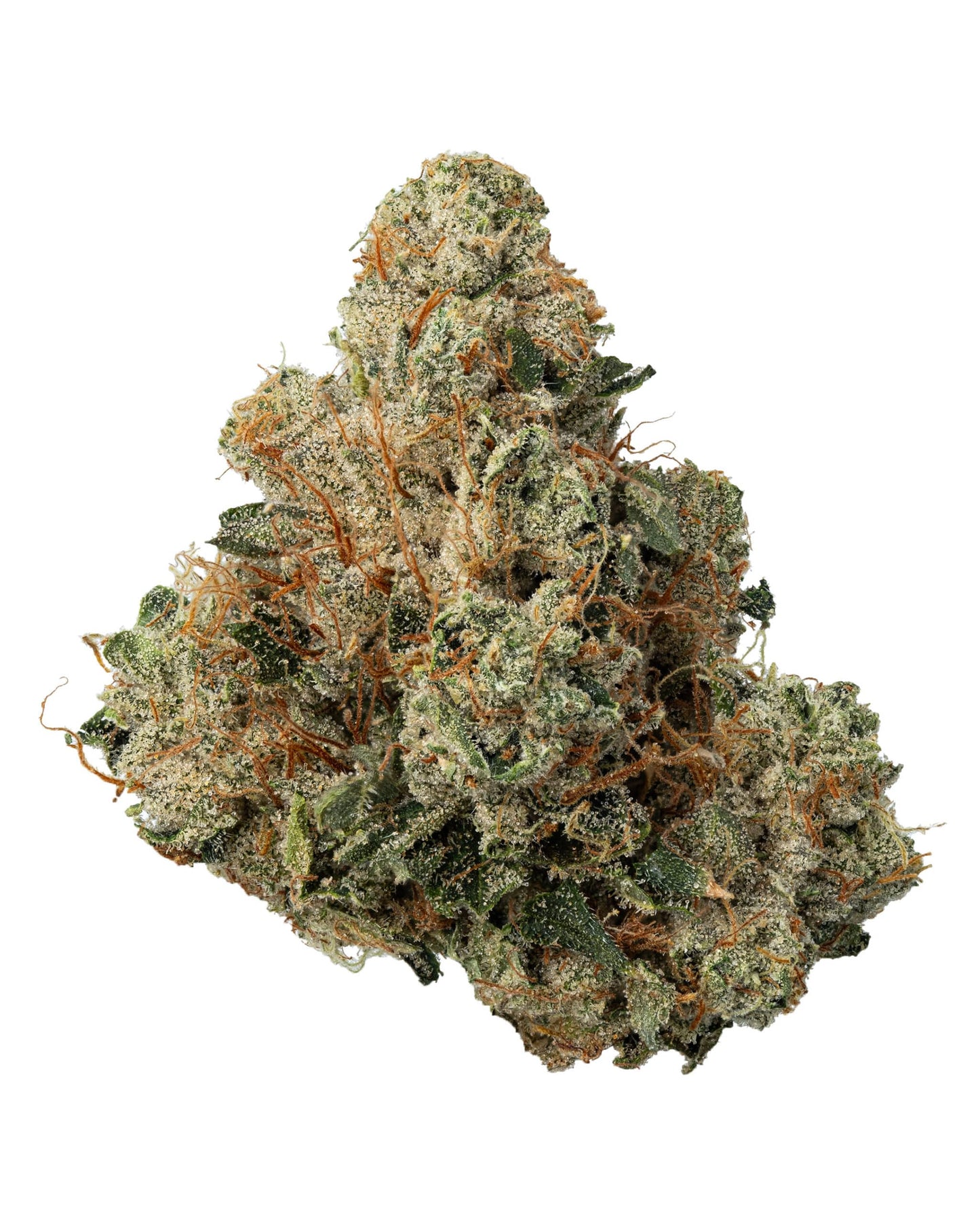 TANGIE (hybrid)