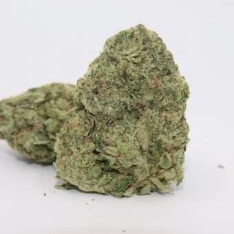 White Buffalo (sativa)