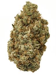 SWISS SATIVA (sativa)
