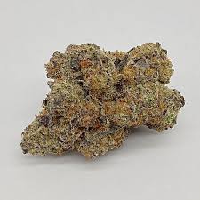 Apple Scottie (indica)