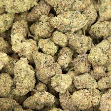 Astro Candy Exclusive Smalls (Hybrid)